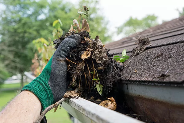 Clearing the Path: Gutter Cleaning Services to Prep Your Home for Spring